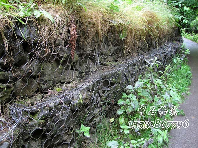 生態(tài)格網(wǎng) 生態(tài)格網(wǎng)