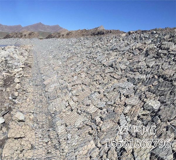 雷諾護墊 雷諾護墊