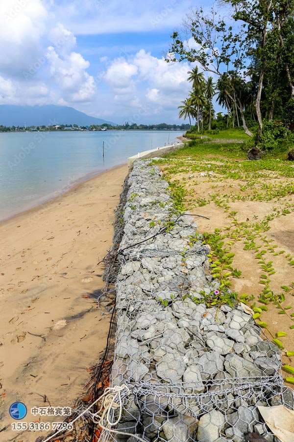 雷諾護墊 雷諾護墊