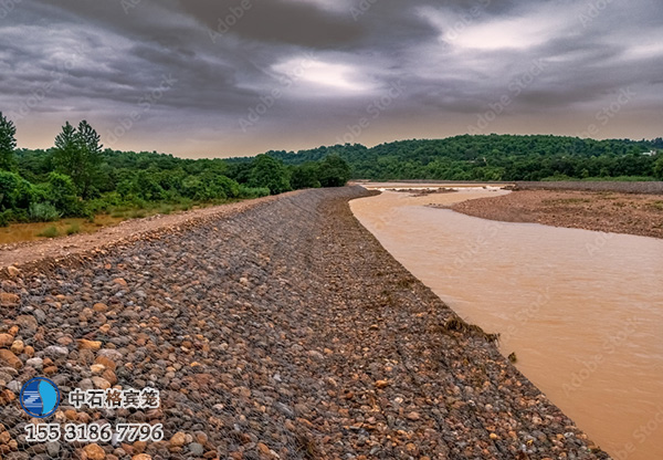 雷諾護(hù)墊 雷諾護(hù)墊