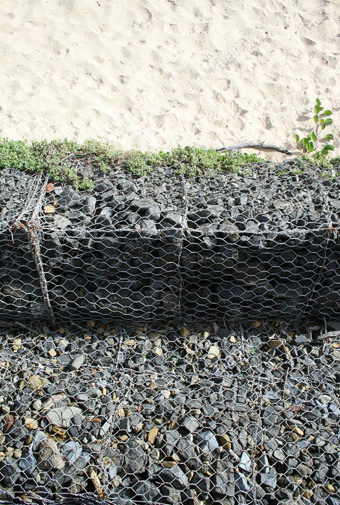 ct1998.jpg ct1998.jpg