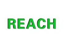 REACH檢測.jpg REACH檢測.jpg